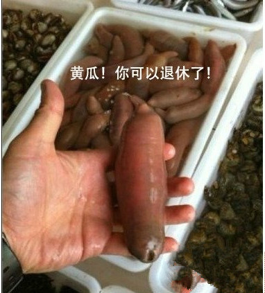 <a href=http://xieeb.com/nhtp/ target=_blank class=infotextkey>内涵图片</a>：自从有了这个神器，市场的黄瓜就失业了！.jpg